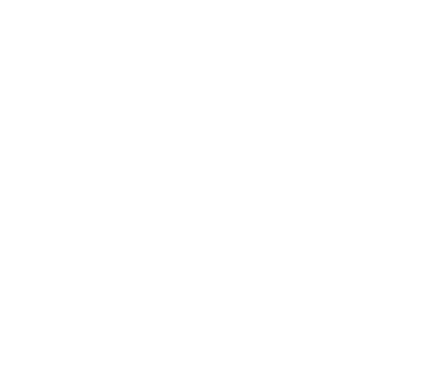 Logo Next Network